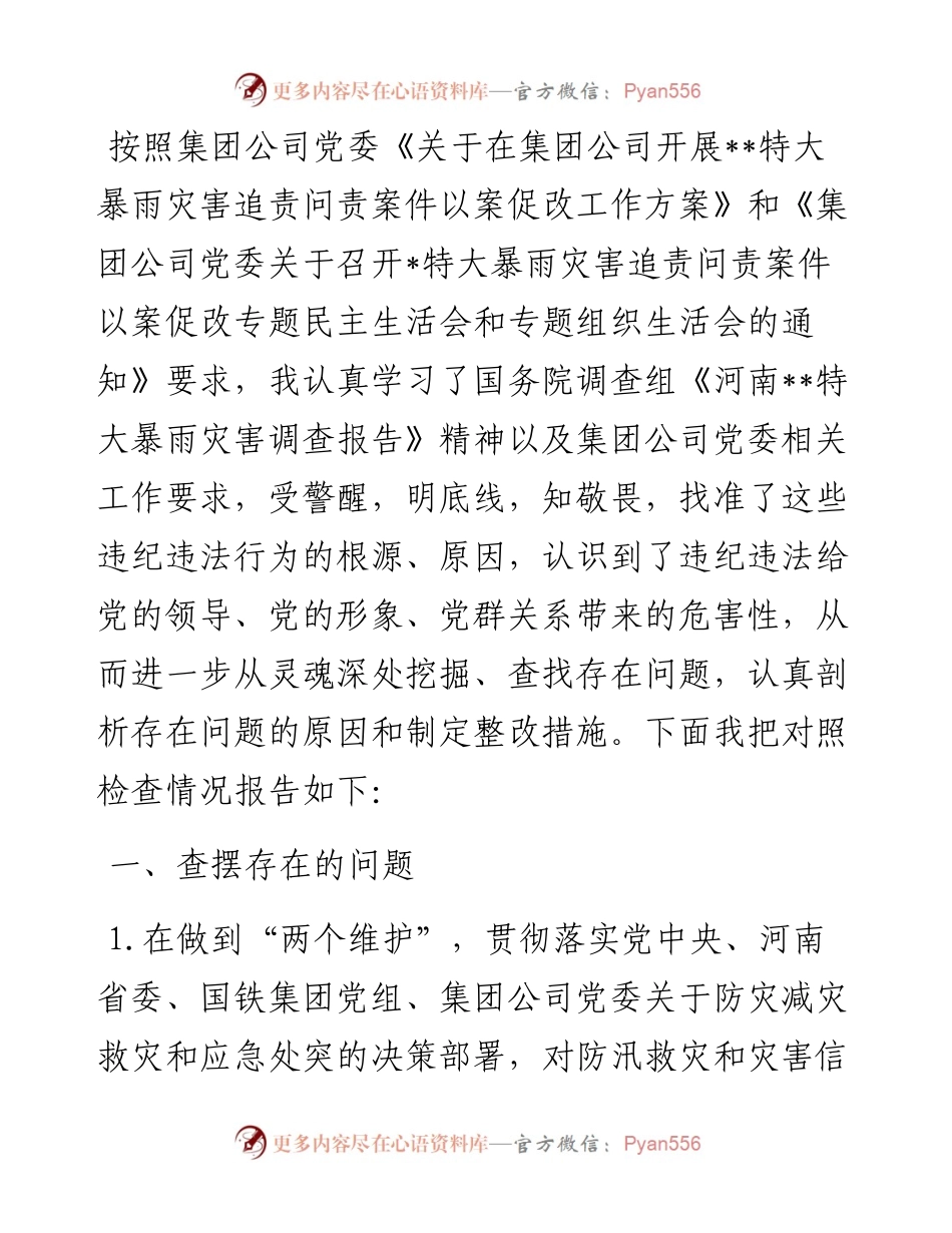 特大暴雨灾害追责问责案件以案促改民主生活会发言材料.docx_第1页