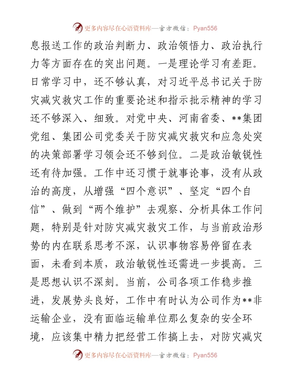 特大暴雨灾害追责问责案件以案促改民主生活会发言材料.docx_第2页