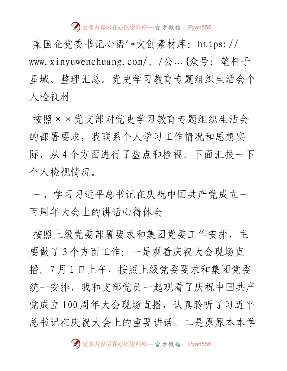 某国企党委书记党史学习教育专题组织生活会个人检视材料.docx_第1页