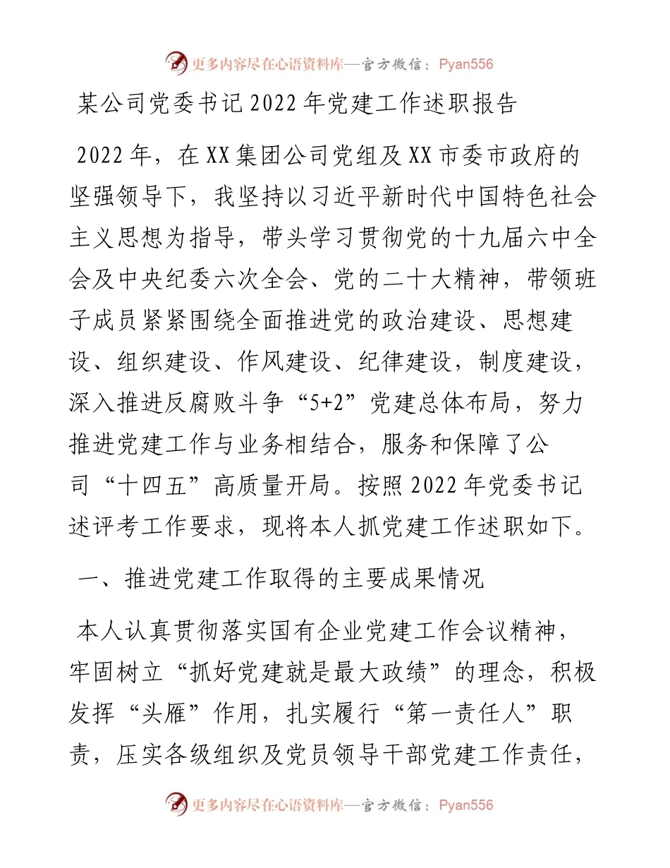 某公司党委书记党建工作述职报告.docx_第1页