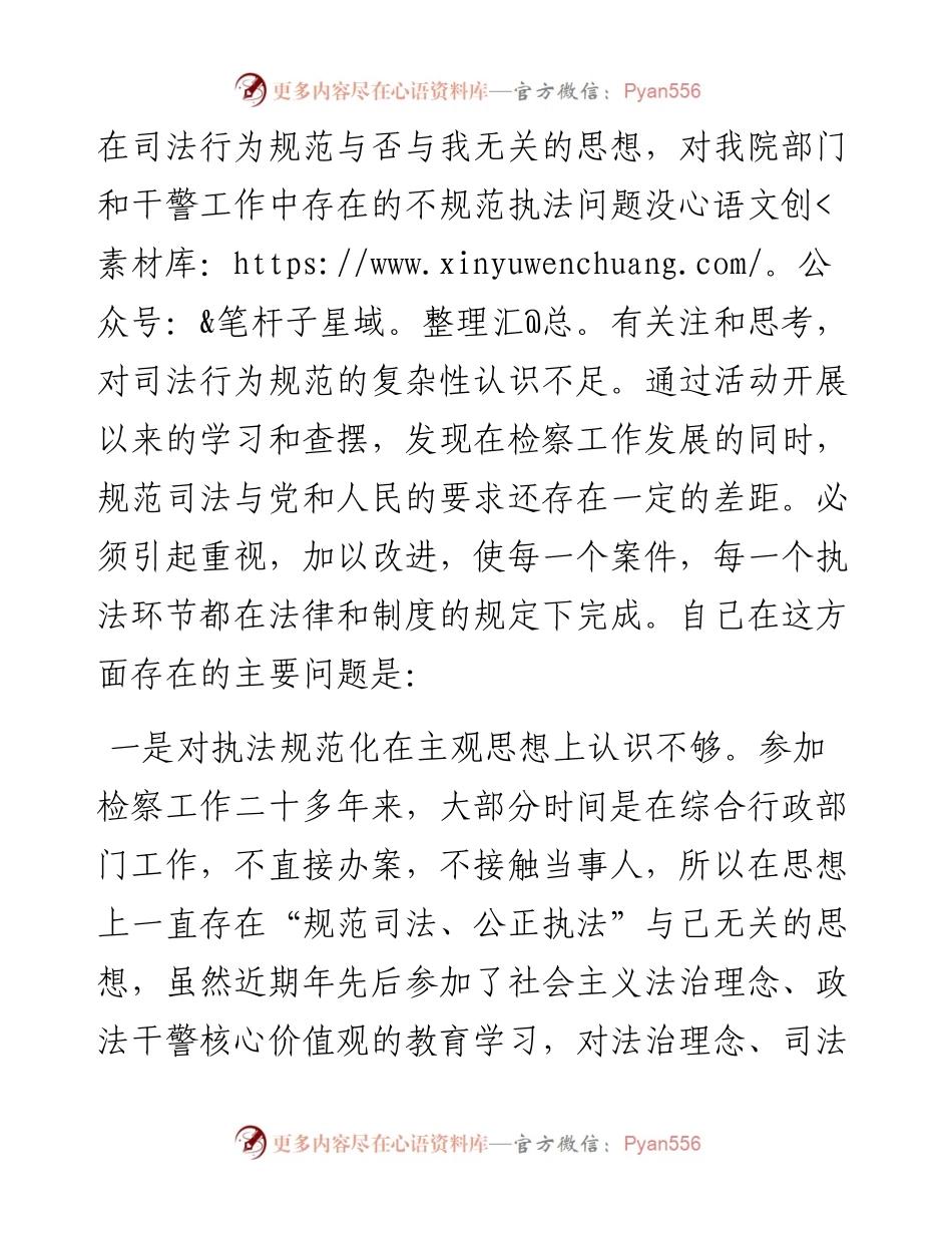 检察院个人专题民主生活会对照检查发言材料.docx_第2页