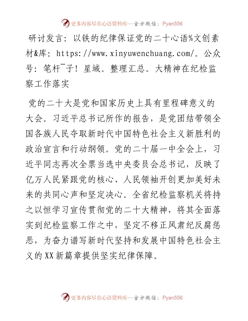 研讨发言：以铁的纪律保证党的二十大精神在纪检监察工作落实.docx_第1页