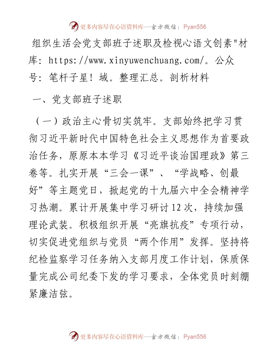 组织生活会党支部班子述职及检视剖析材料.docx_第1页