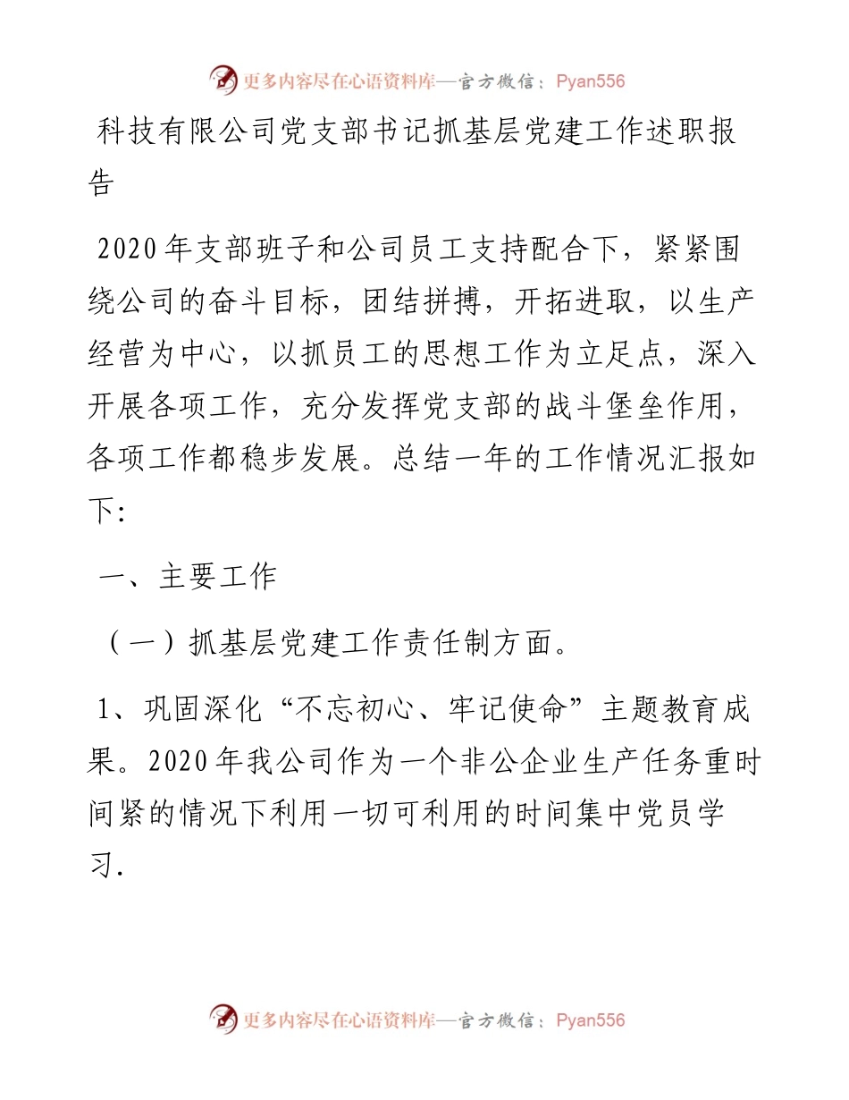 科技有限公司党支部书记抓基层党建工作述职报告(1).docx_第1页
