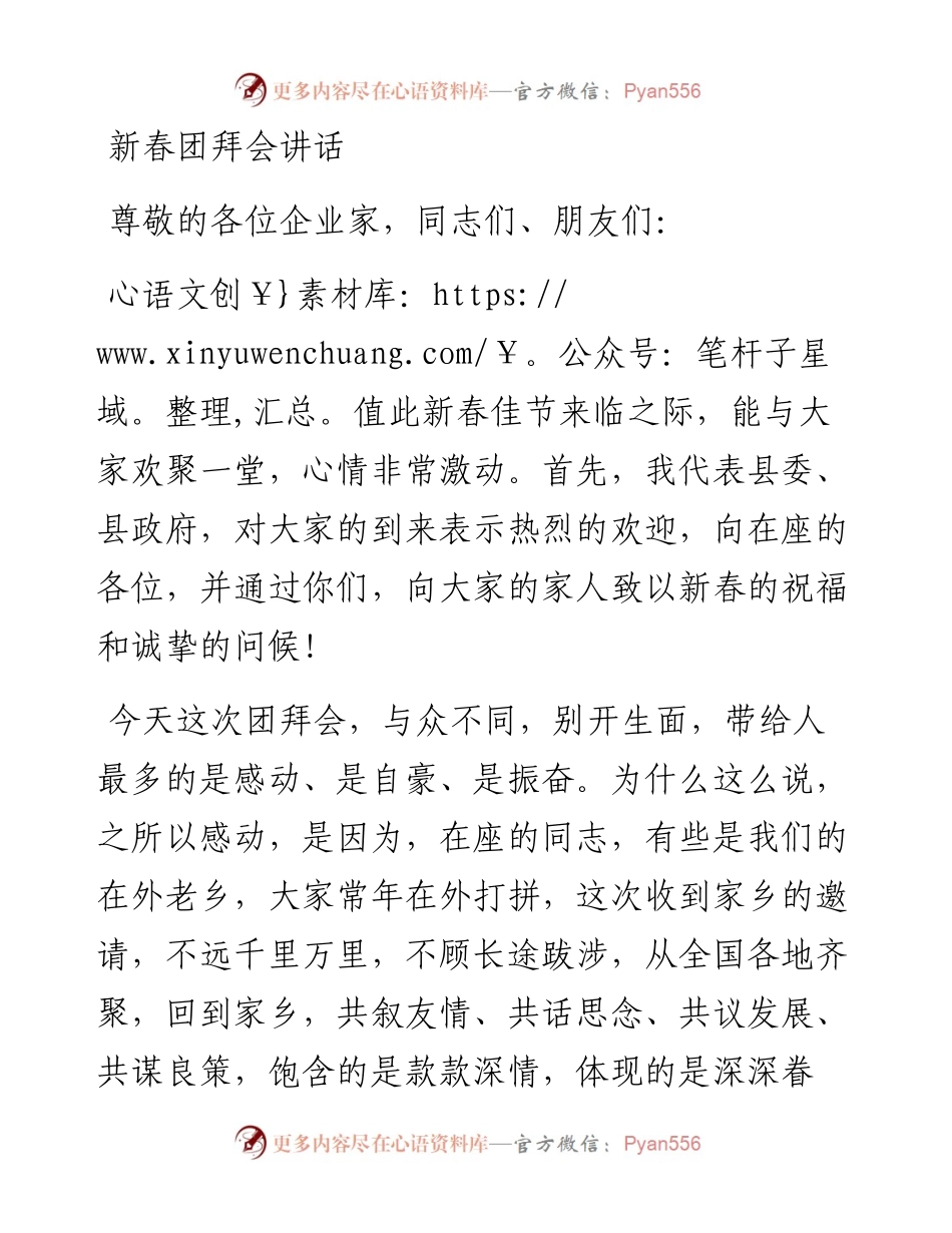 新春团拜会讲话.docx_第1页