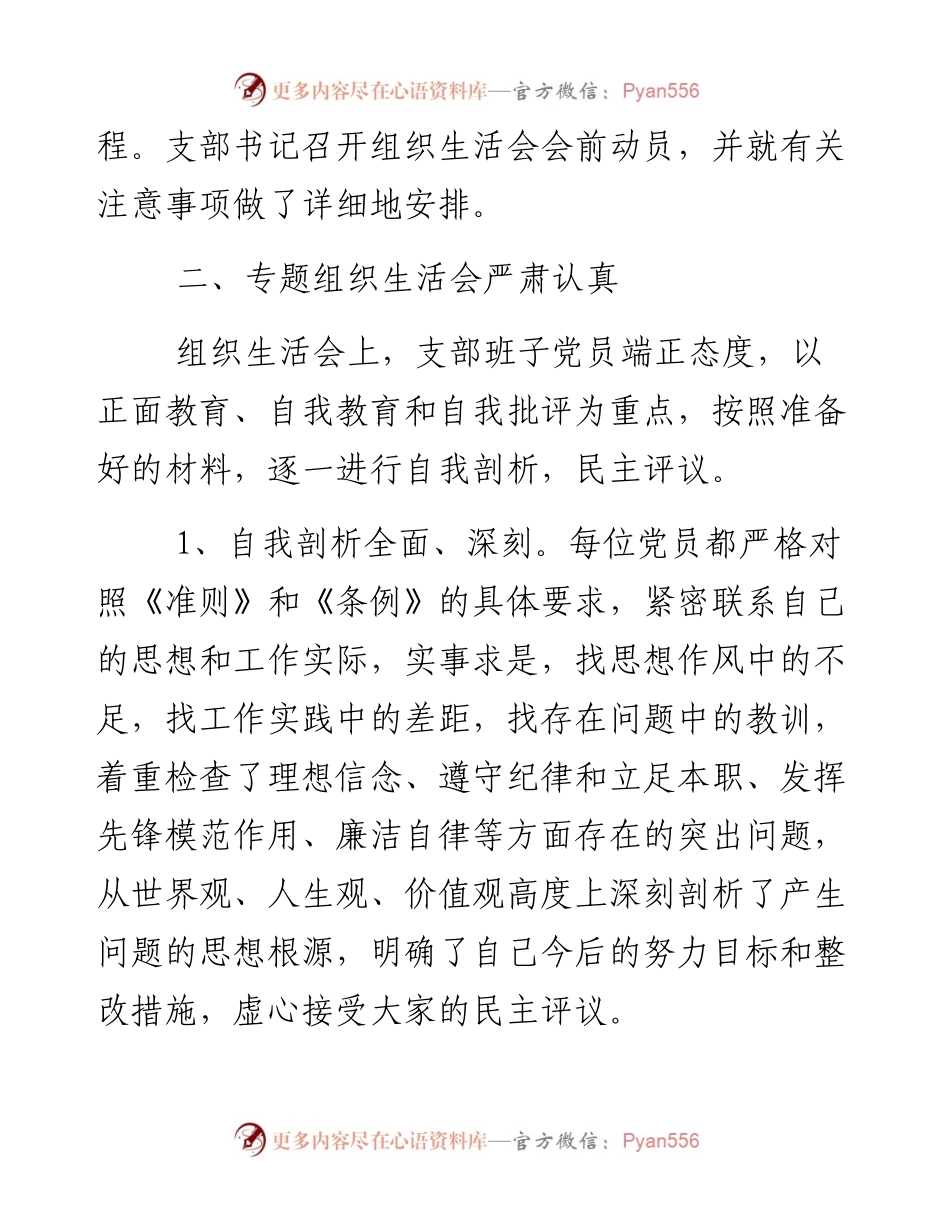 村党支部组织民主生活会情况报告.docx_第2页