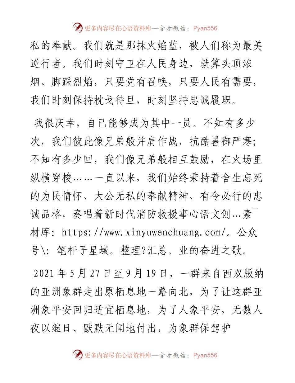 消防员演讲稿：唯有水枪与家国平安不可负.docx_第2页