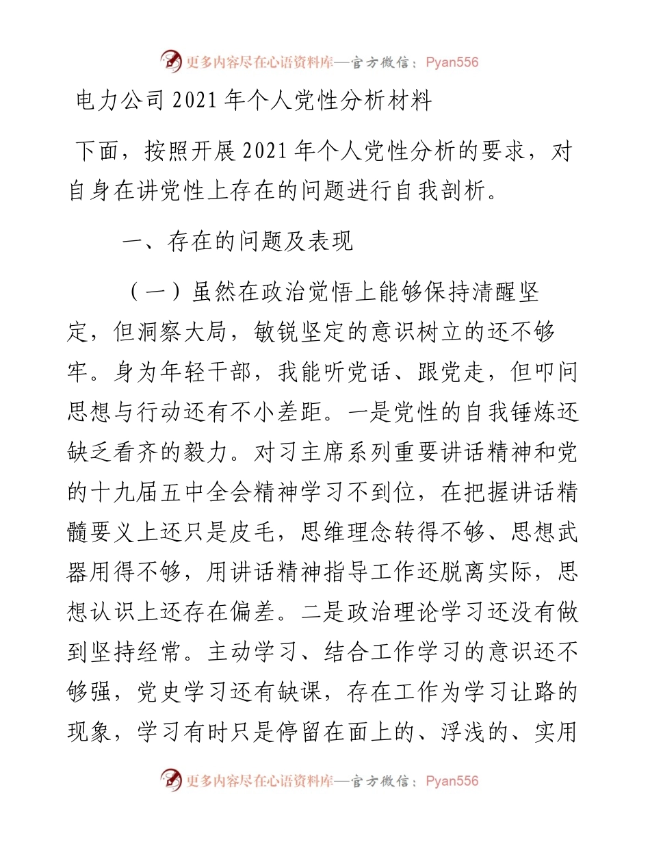 电力公司个人党性分析材料.docx_第1页