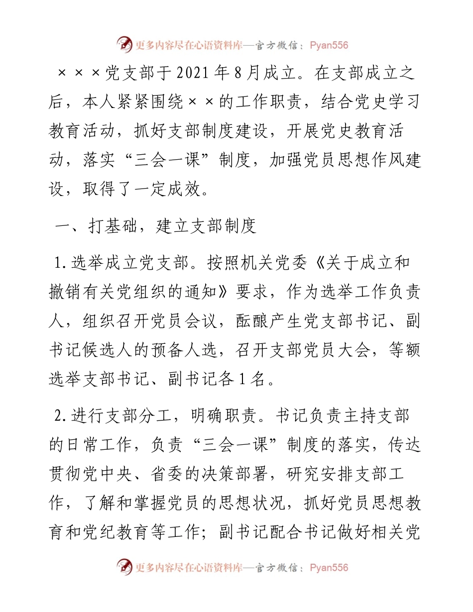 新成立党支部书记述职报告.docx_第1页