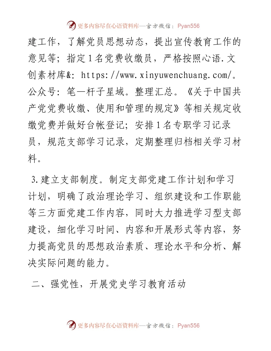 新成立党支部书记述职报告.docx_第2页