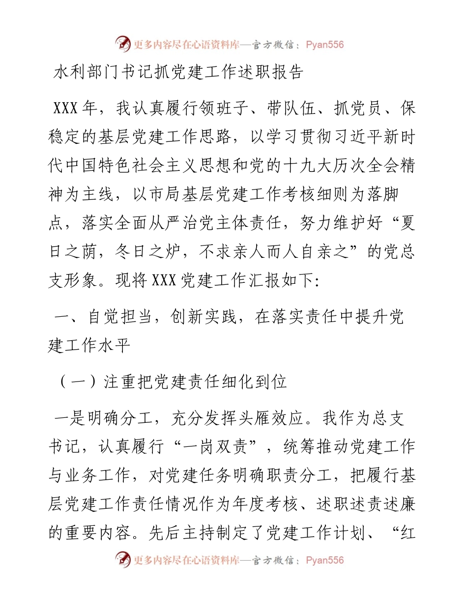 水利部门书记抓党建工作述职报告.docx_第1页