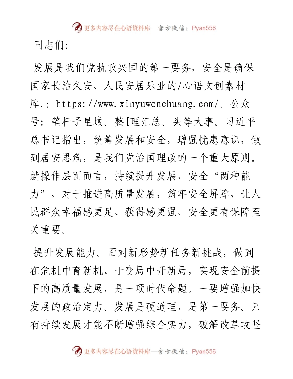 研讨发言：更好统筹发展和安全.docx_第1页