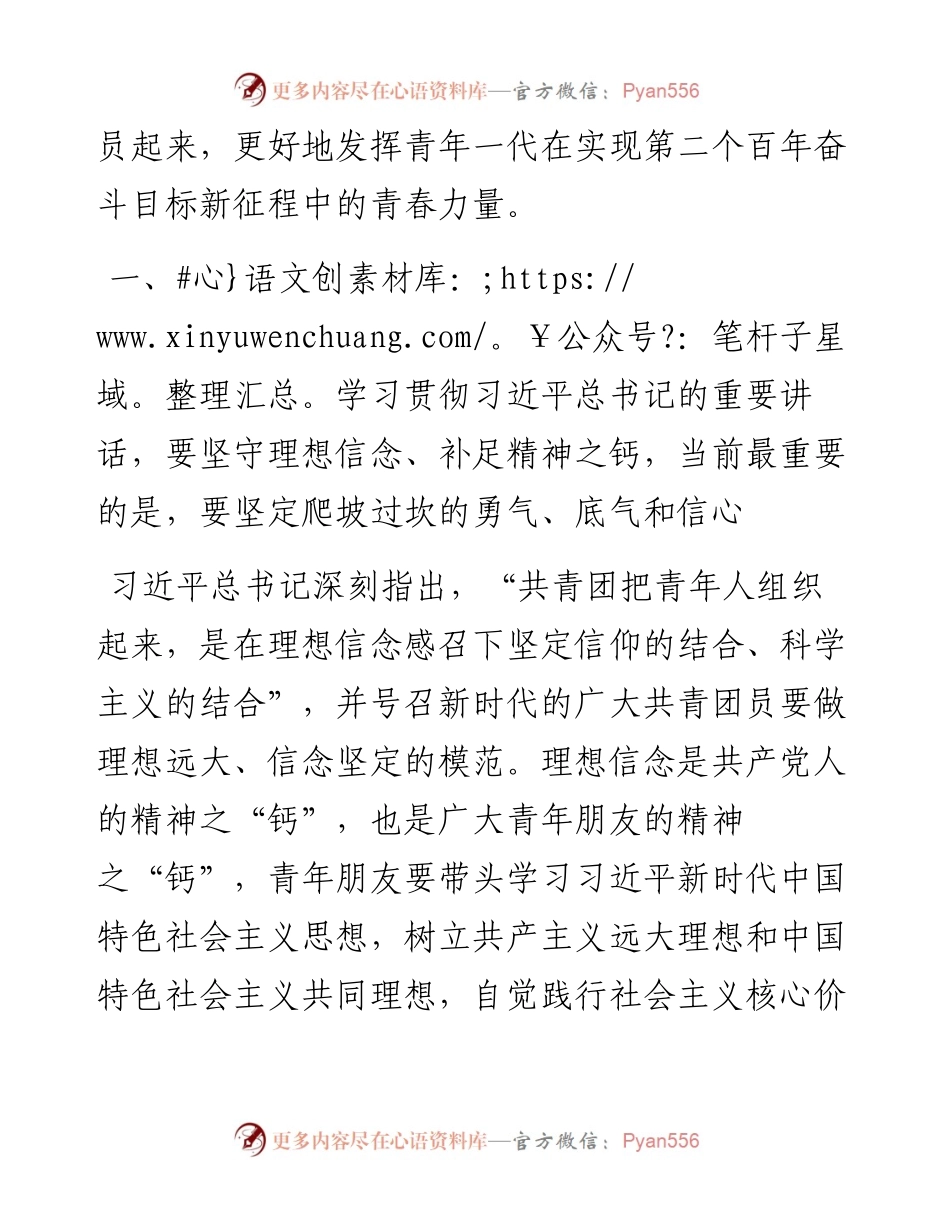 牢记领袖嘱托 团结带领广大青年为实现第二个百年奋斗目标不懈奋斗.docx_第2页