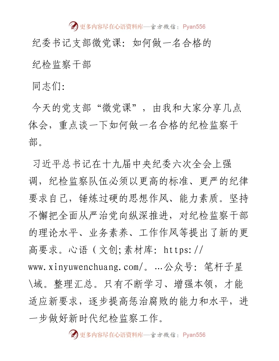 纪委书记支部微党课：如何做一名合格的纪检监察干部.docx_第1页
