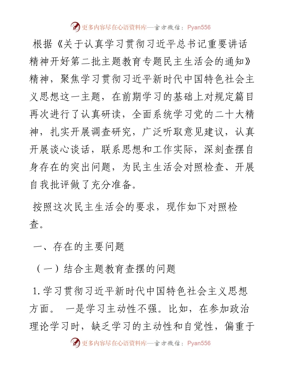 班子成员主题教育专题民主生活会个人对照检查发言提纲.docx_第1页