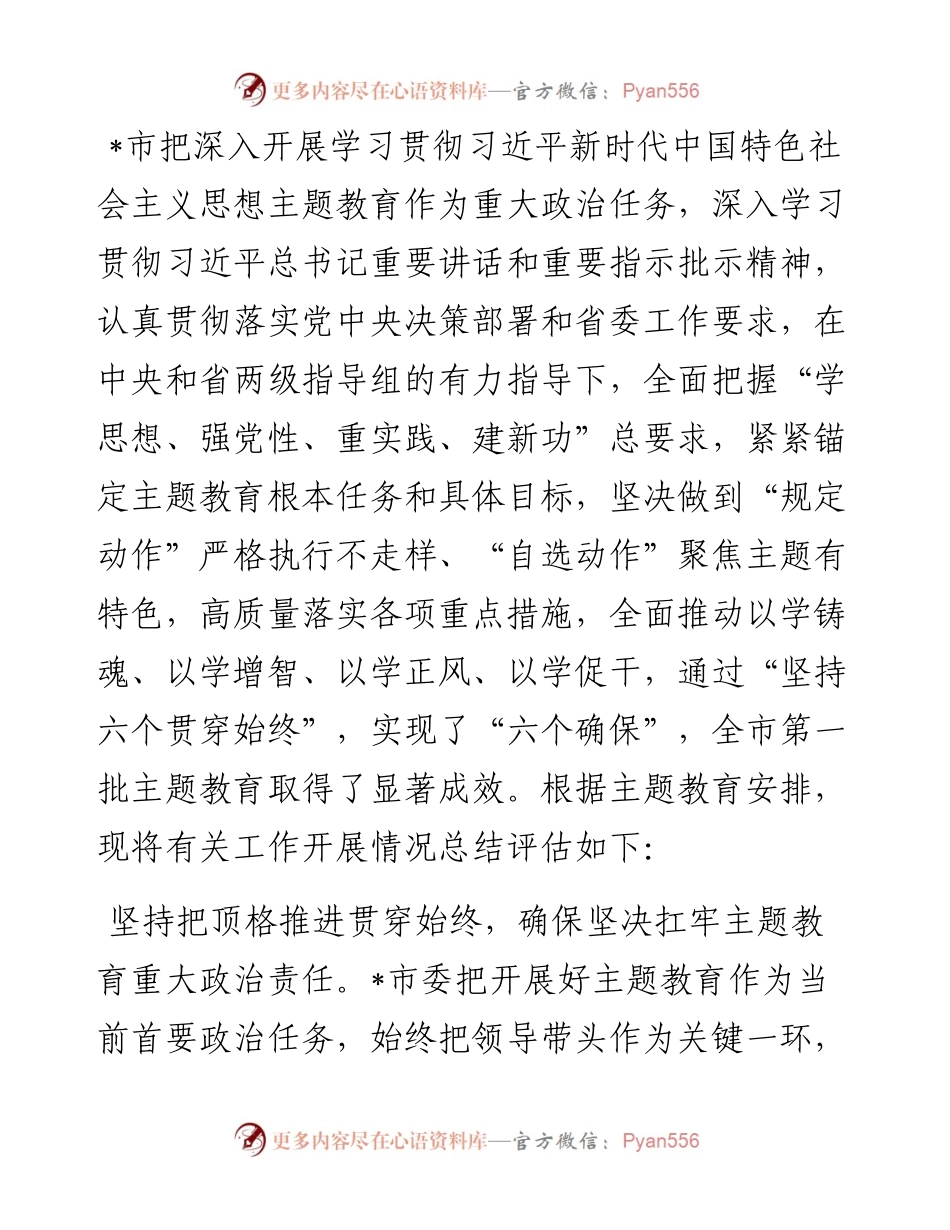 某市2023年第一批主题教育总结评估报告.docx_第1页
