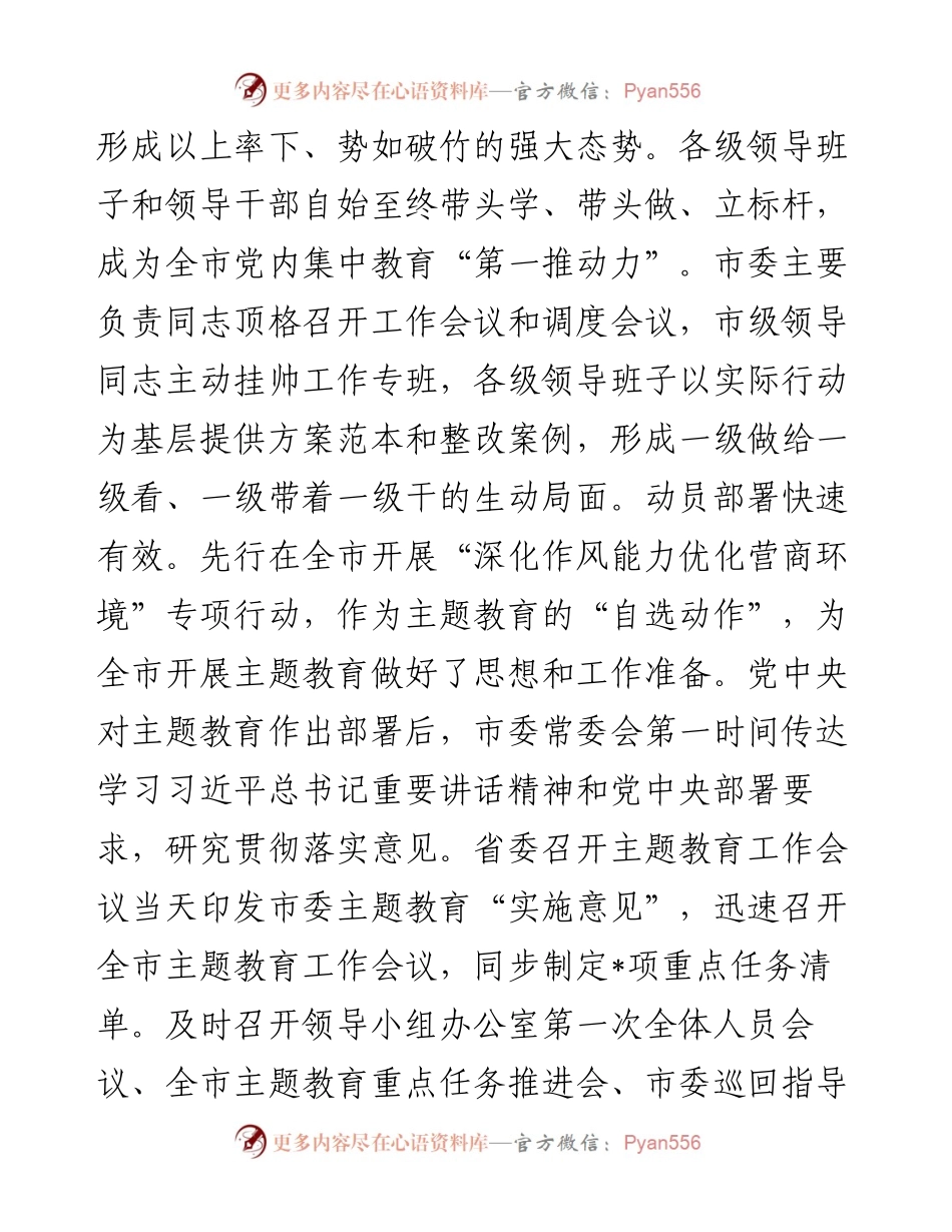 某市2023年第一批主题教育总结评估报告.docx_第2页