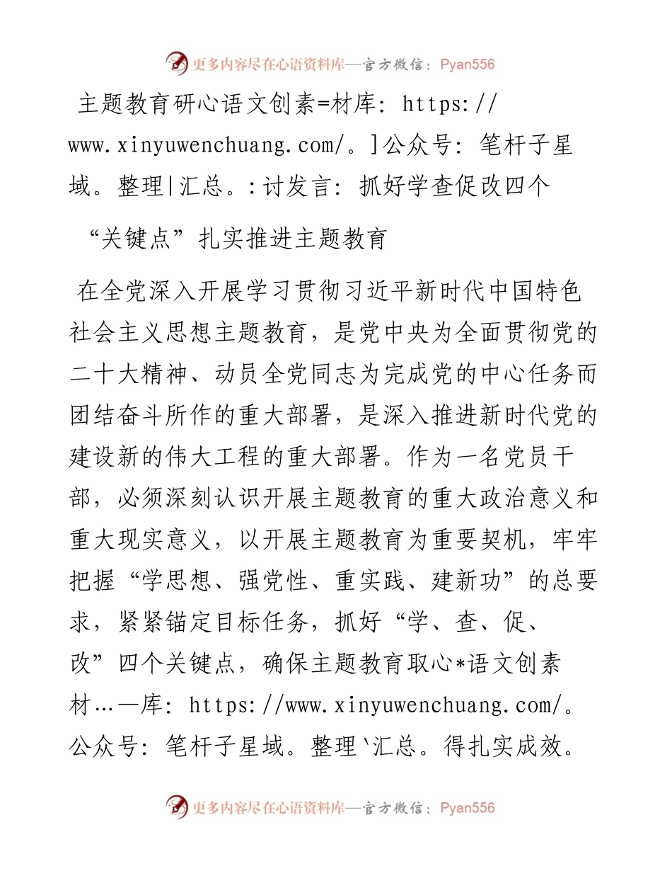 研讨发言：抓好学查促改四个“关键点”扎实推进主题教育.docx_第1页