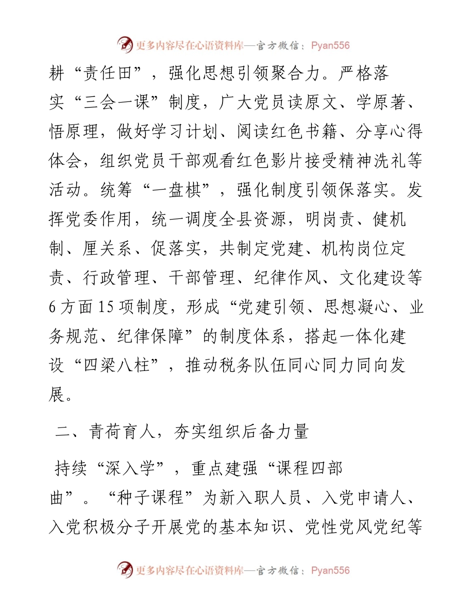 某县税务局党建工作总结.docx_第2页