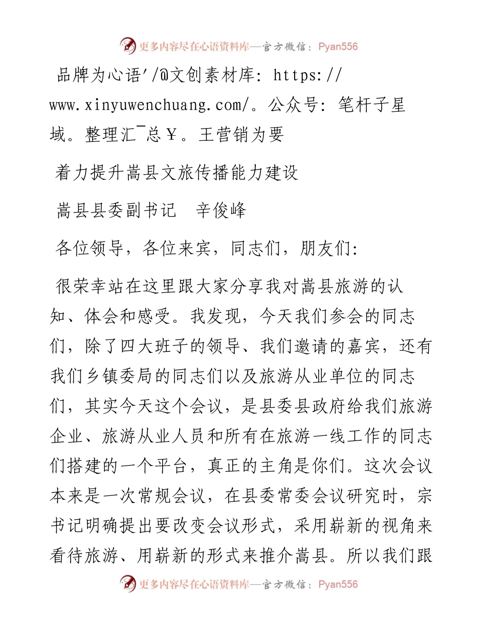 范文系列2175嵩县县委副书记辛俊峰：着力提升嵩县文旅传播能力建设：品牌为王营销为要.docx_第1页