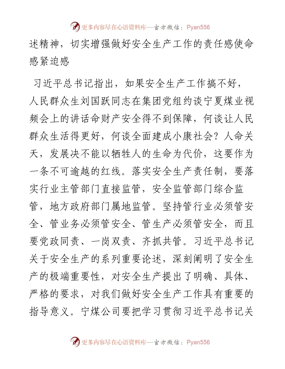 范文系列477国家能源投资集团有限责任公司总经理刘国跃：在集团党组约谈宁夏煤业视频会上的讲话.docx_第2页