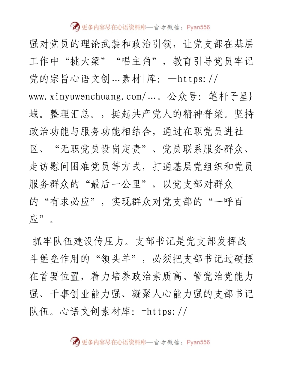 经验交流：做好党支部建设“大文章”.docx_第2页