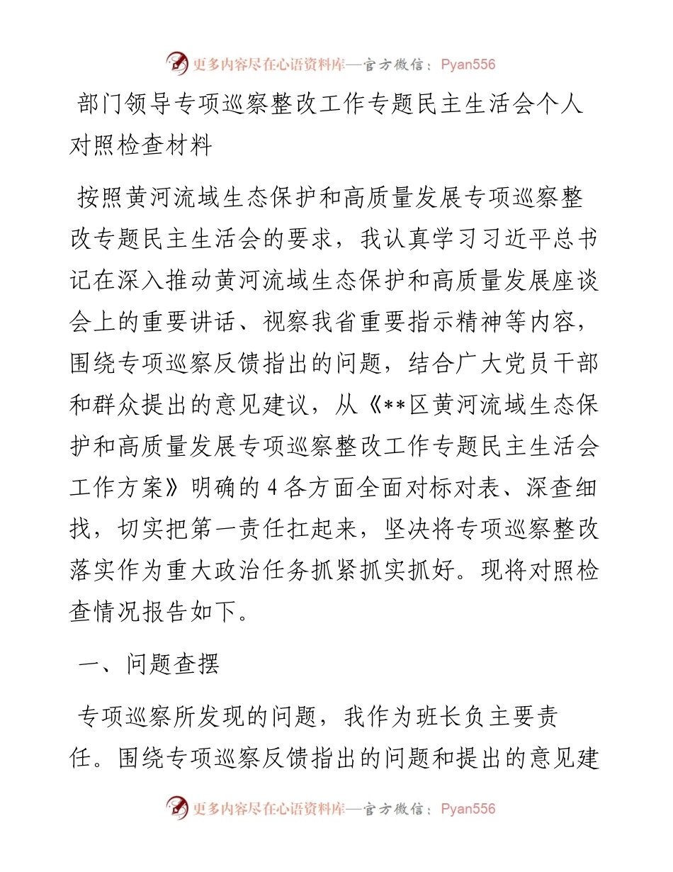 部门领导专项巡察整改工作专题民主生活会个人对照检查材料.docx_第1页