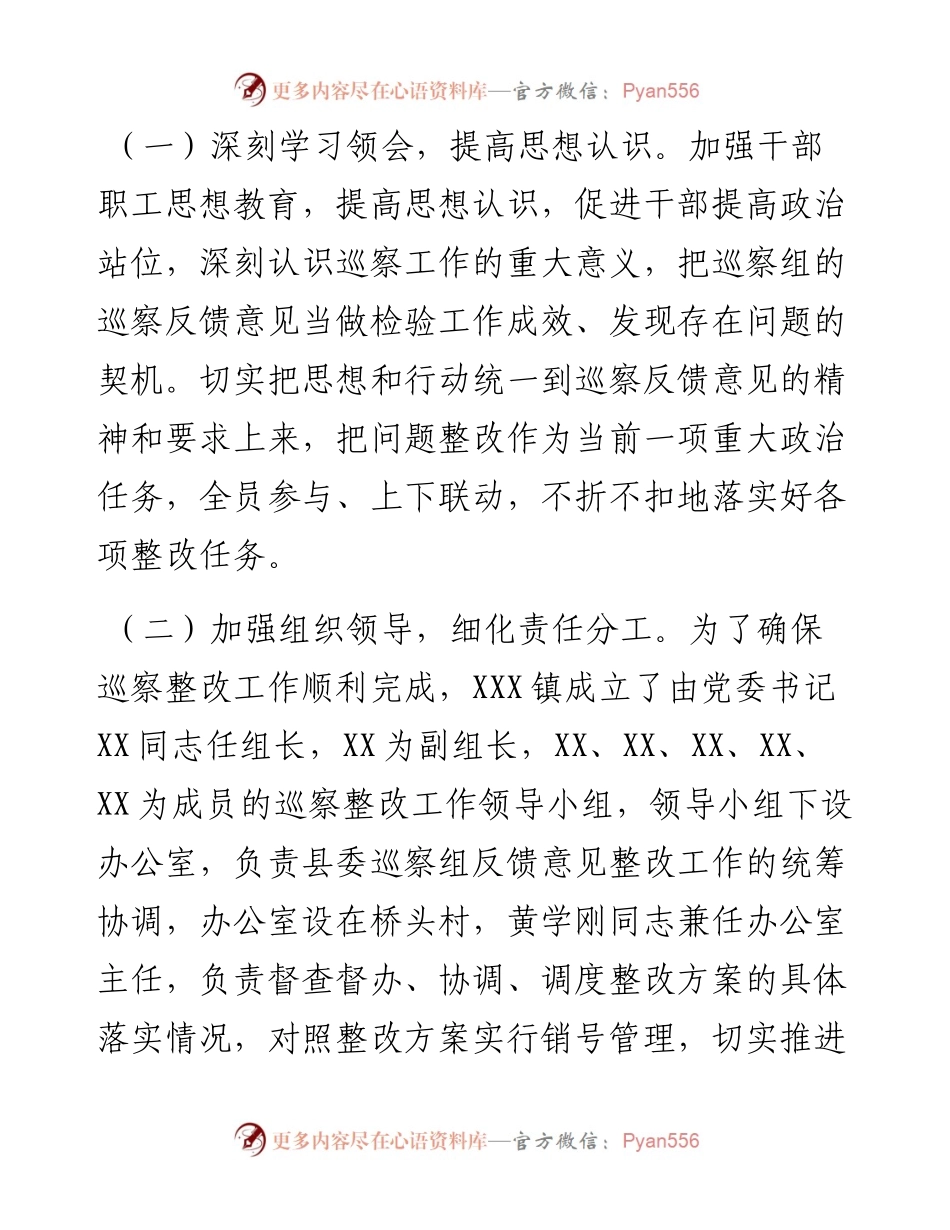 镇关于巡察整改进展情况的报告.docx_第2页
