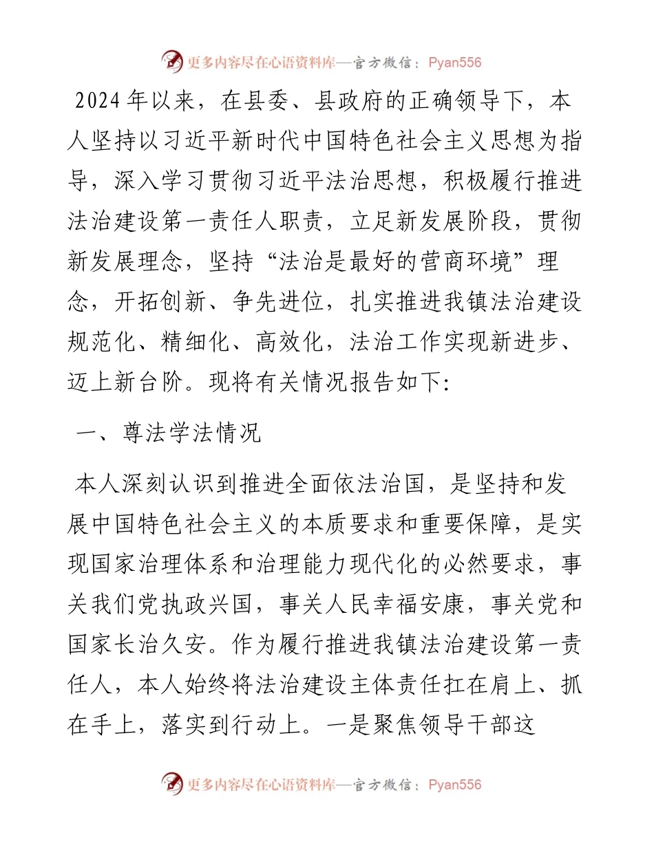 镇党委书记2024年度上半年履行推进法治建设第一责任人职责述职报告.docx_第1页