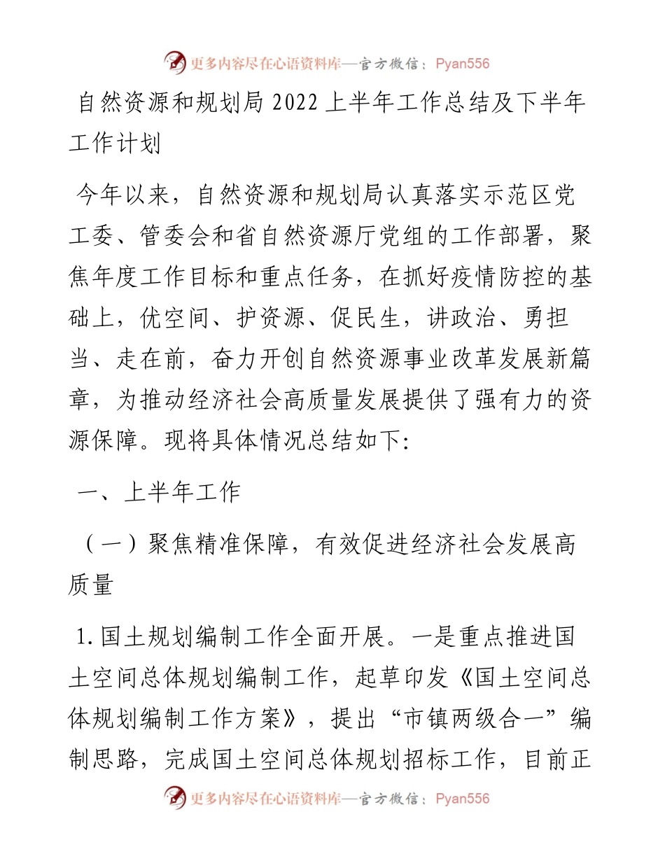 自然资源和规划局上半年工作总结及下半年工作计划.docx_第1页