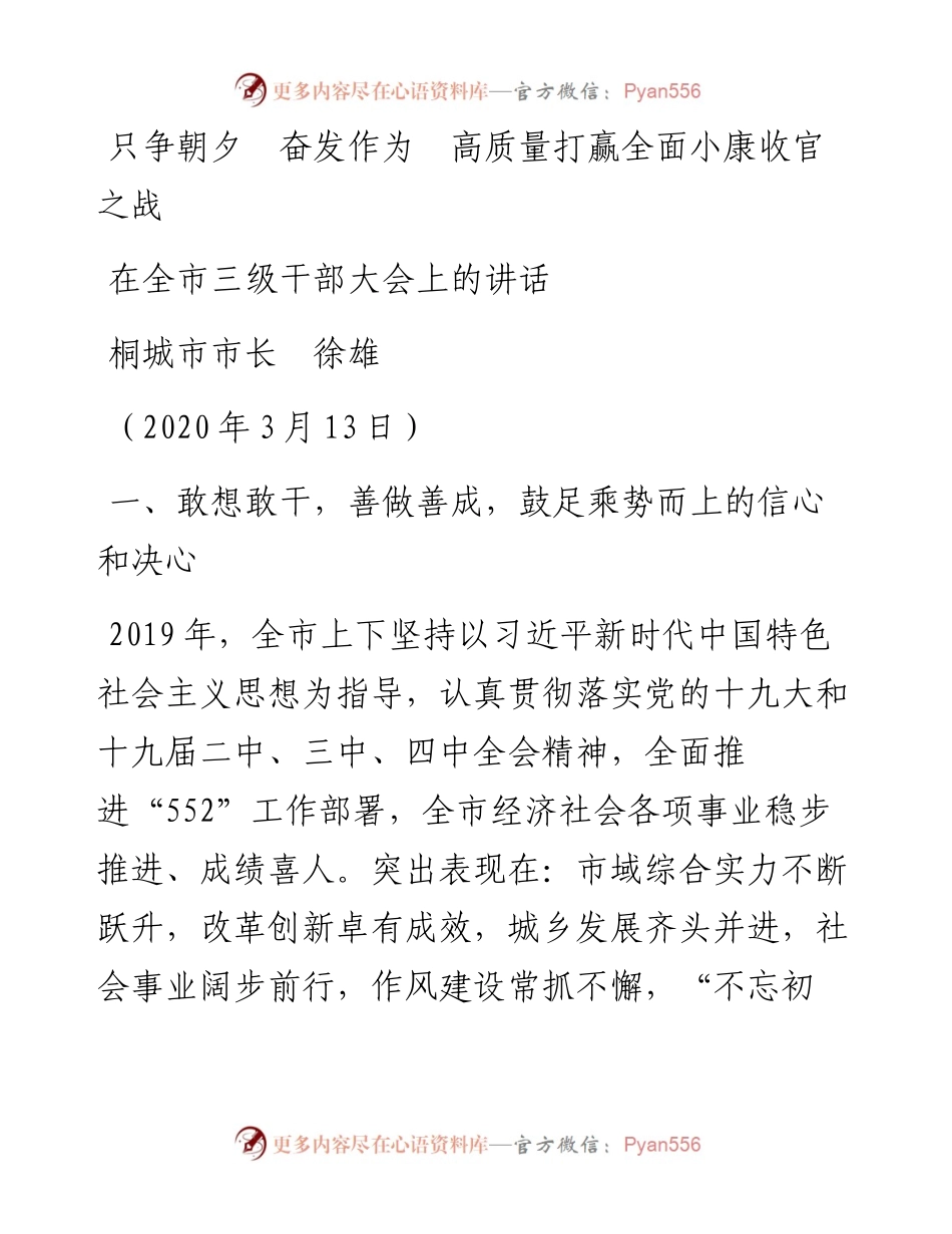 范文系列64桐城市市长徐雄在全市三级干部大会上的讲话.docx_第1页