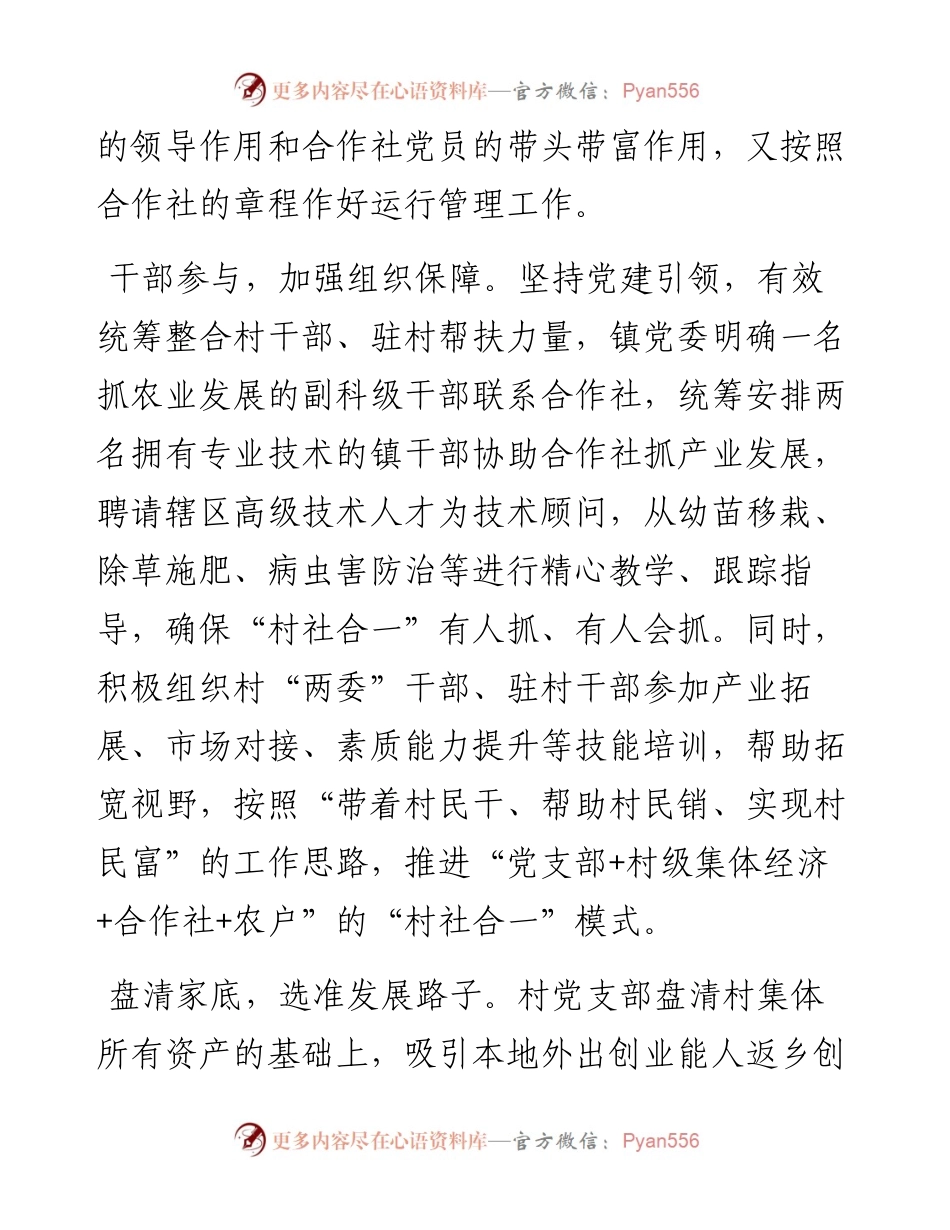 经验材料：村党建引领“村社合一”助力乡村振兴.docx_第2页