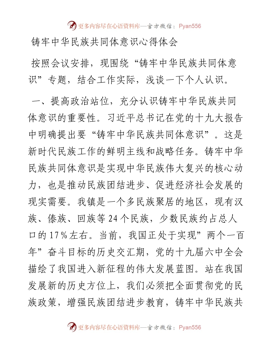 铸牢中华民族共同体意识研讨发言.docx_第1页