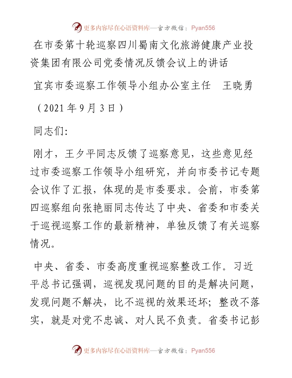 范文系列2181宜宾市委巡察工作领导小组办公室主任王晓勇：在市委第十轮巡察四川蜀南文化旅游健康产业投资集团有限公司党委情况反馈会议上的讲话.docx_第1页