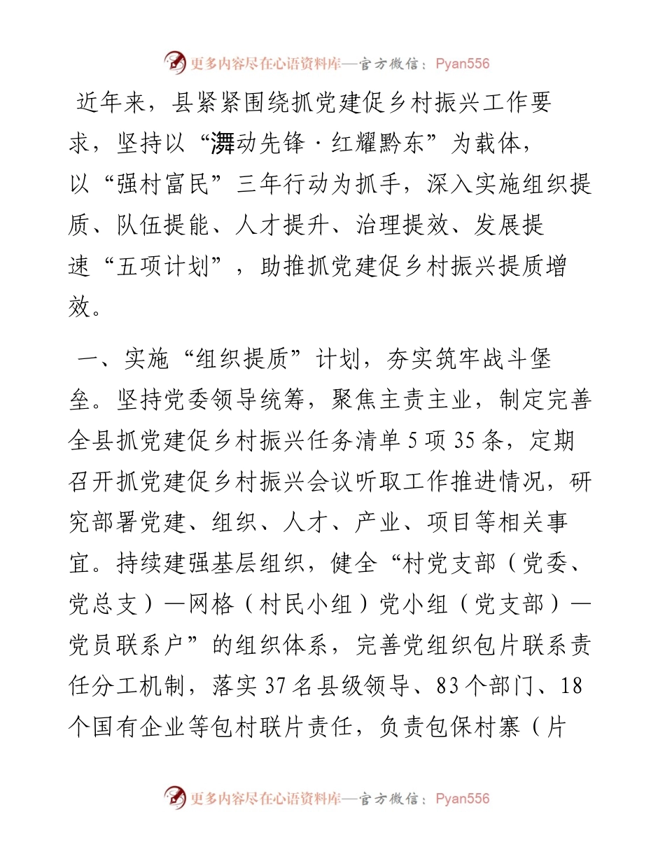 经验交流：实施“五项计划”助推抓党建促乡村振兴.docx_第1页