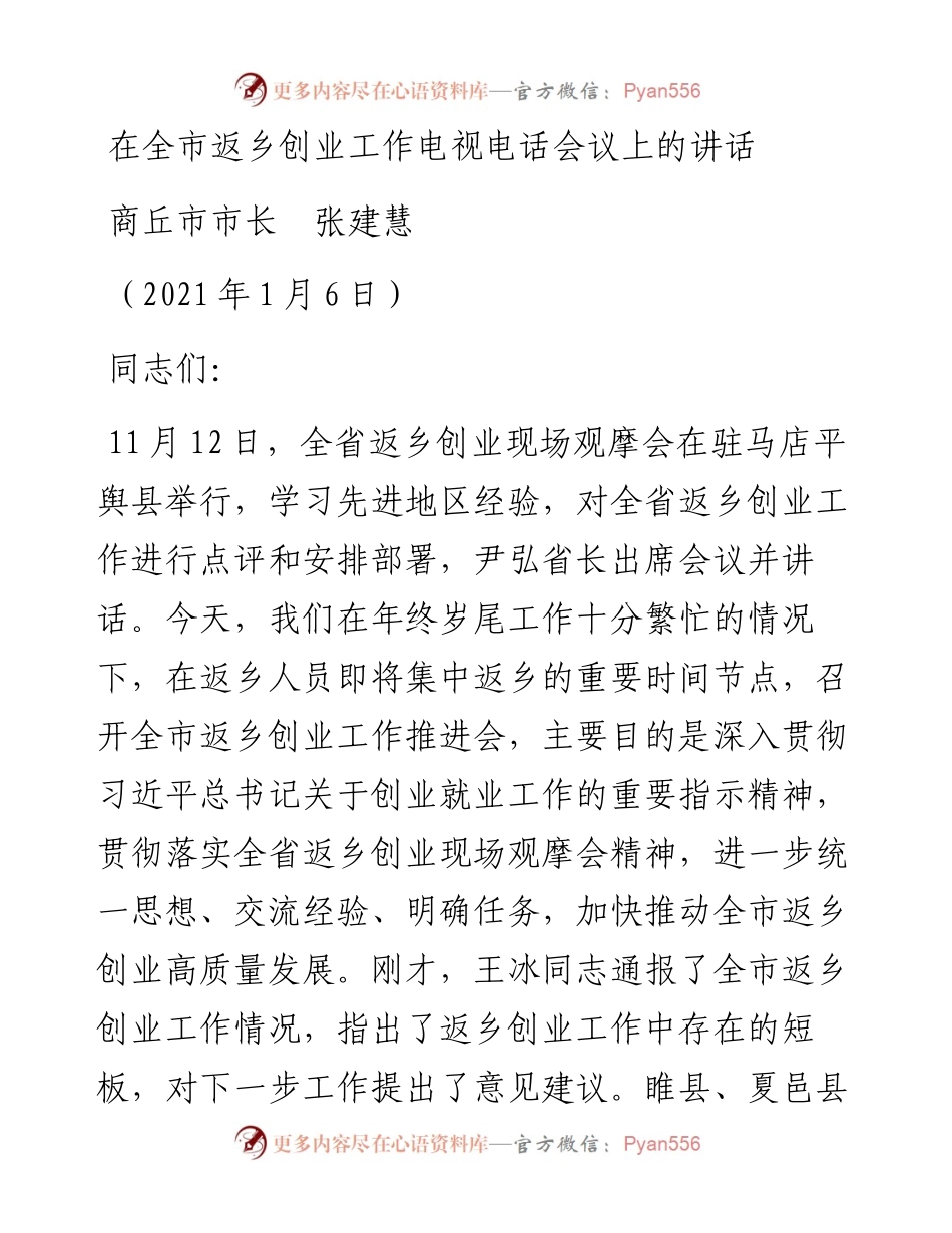 范文系列1076商丘市市长张建慧：在全市返乡创业工作电视电话会议上的讲话.docx_第1页