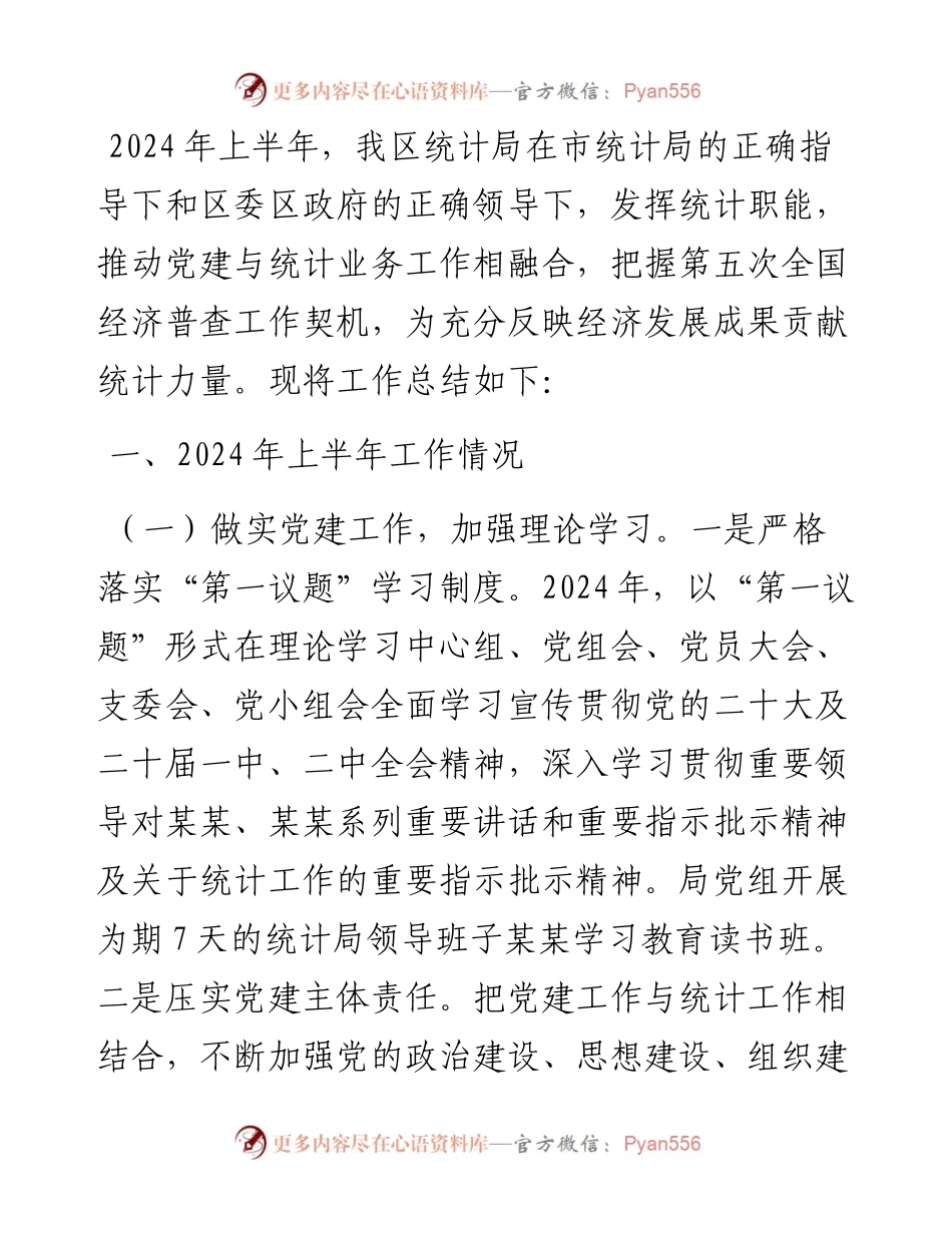 统计局2024年上半年工作总结和下半年工作计划.docx_第1页