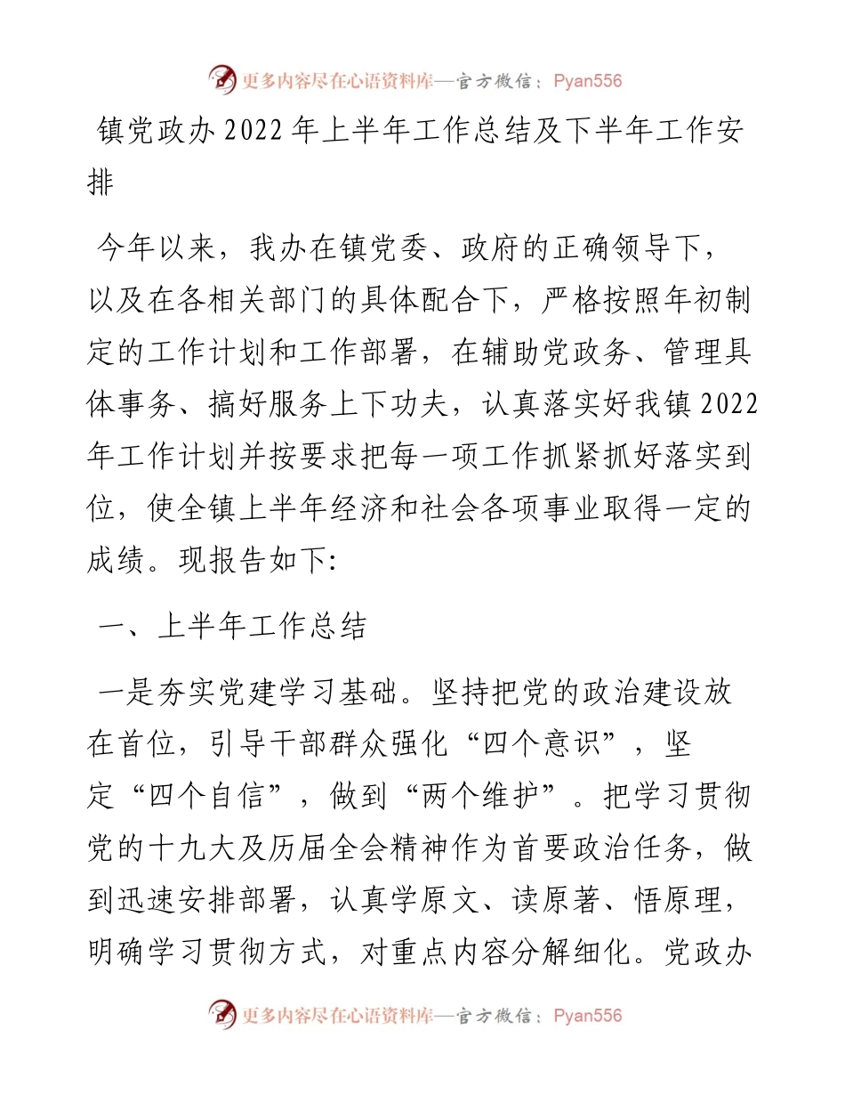 镇党政办上半年工作总结及下半年工作安排.docx_第1页