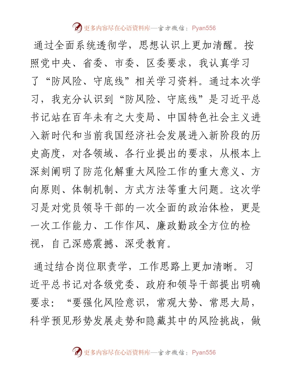 防风险守底线专题会议个人对照检查材料.docx_第2页