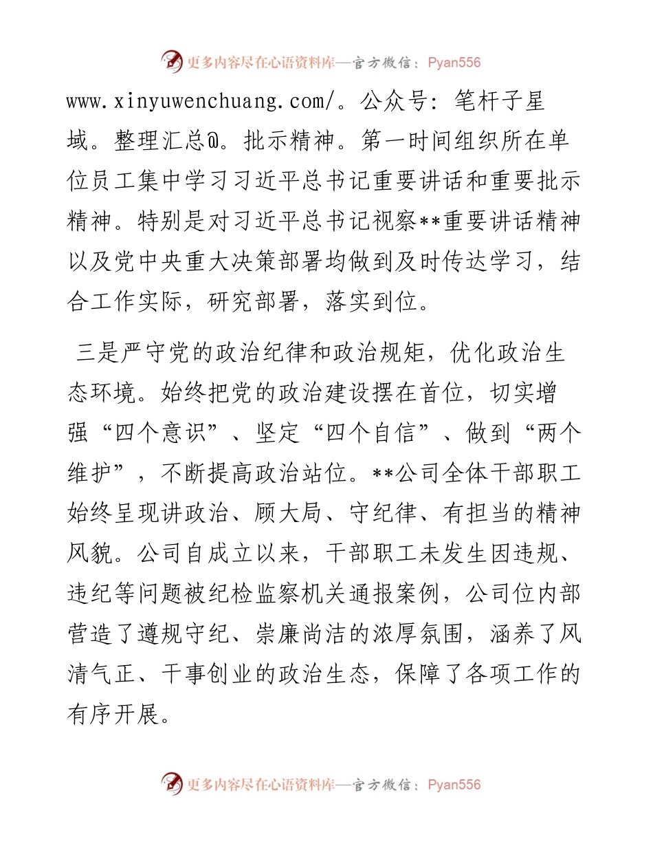 集团公司党委政治谈话发言.docx_第2页