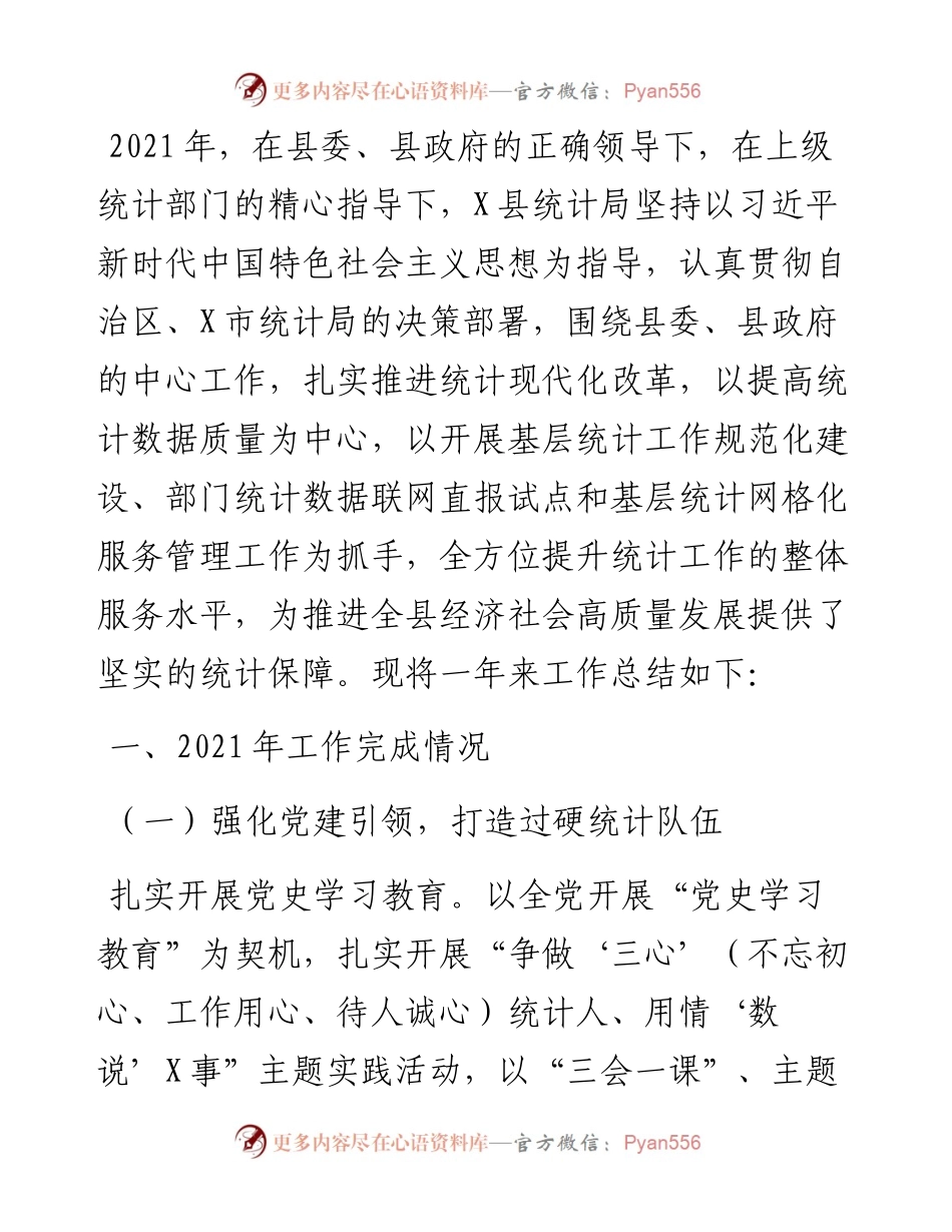 统计局工作总结及工作计划.docx_第1页