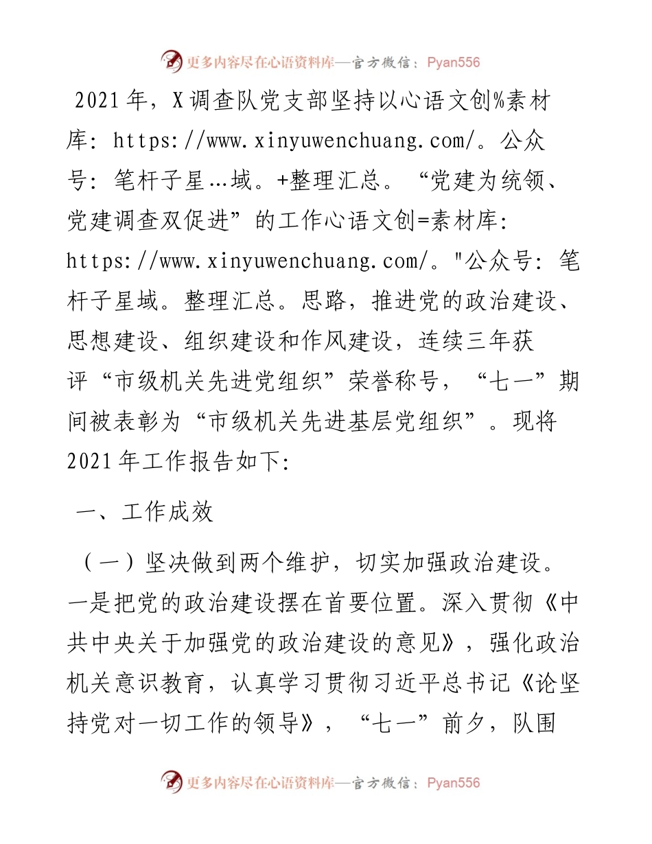 统计局调查队党支部书记度述职报告.docx_第1页