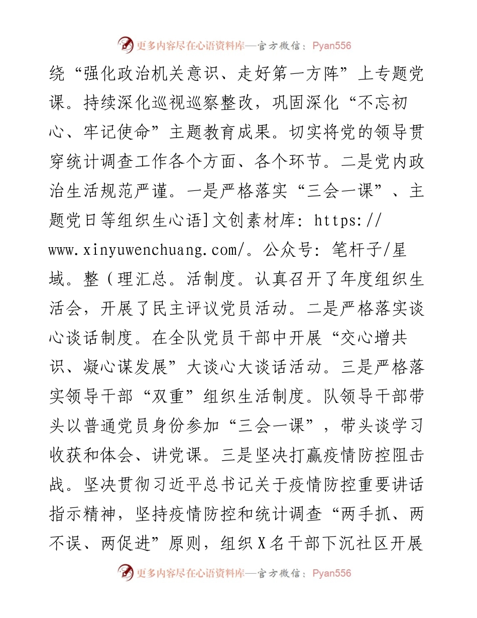 统计局调查队党支部书记度述职报告.docx_第2页