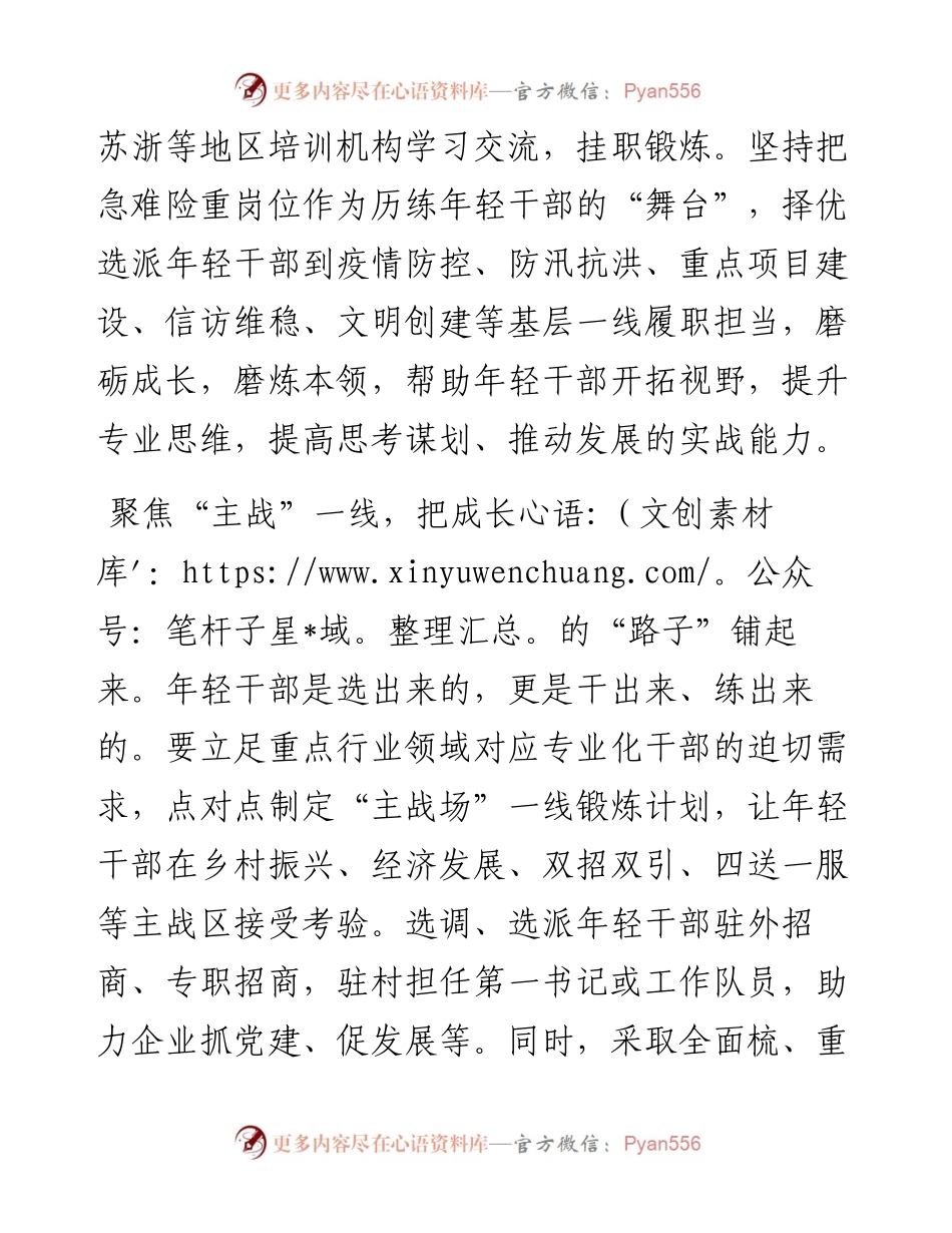 组织部长谈年轻干部培养机制.docx_第2页