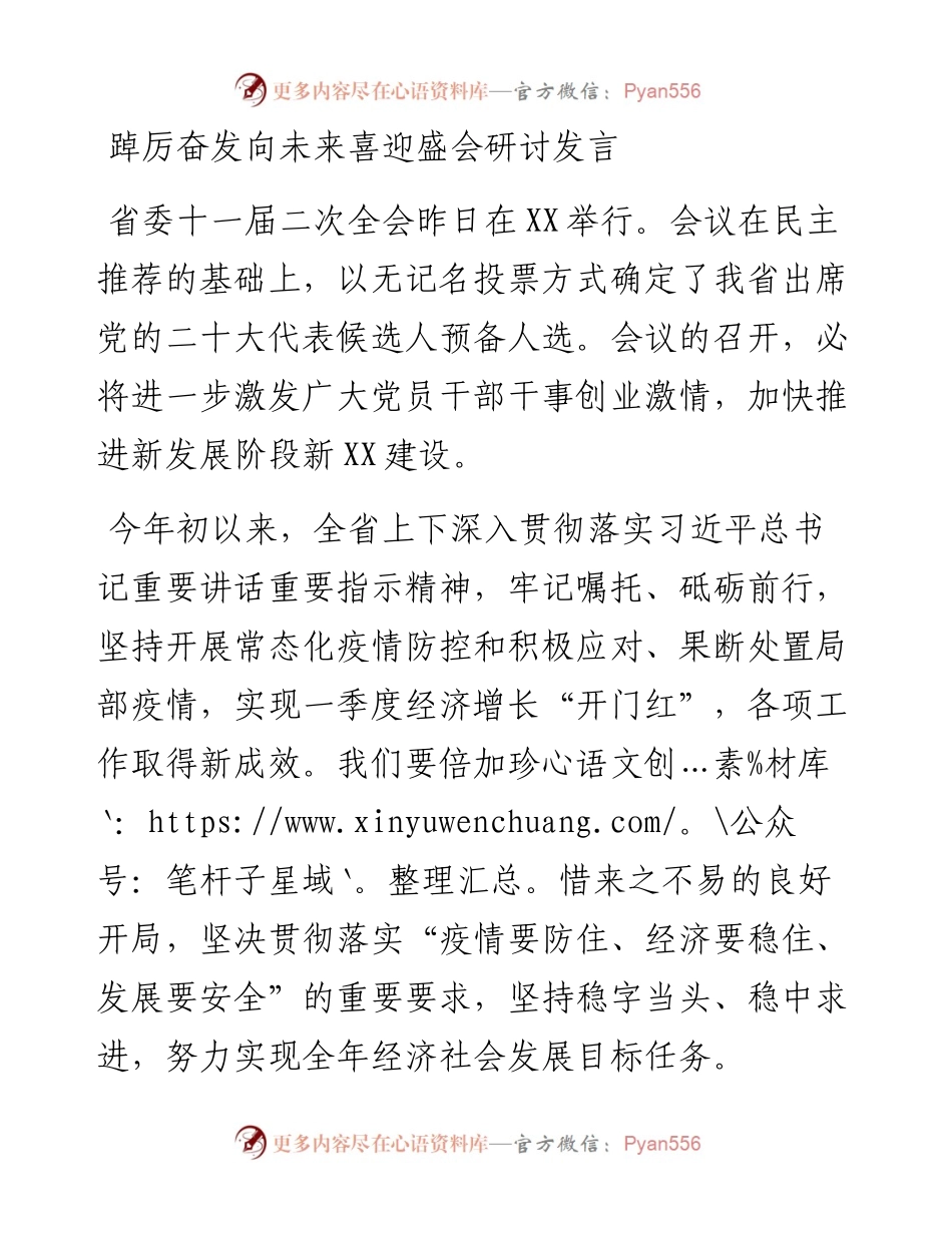 踔厉奋发向未来喜迎盛会研讨发言.docx_第1页