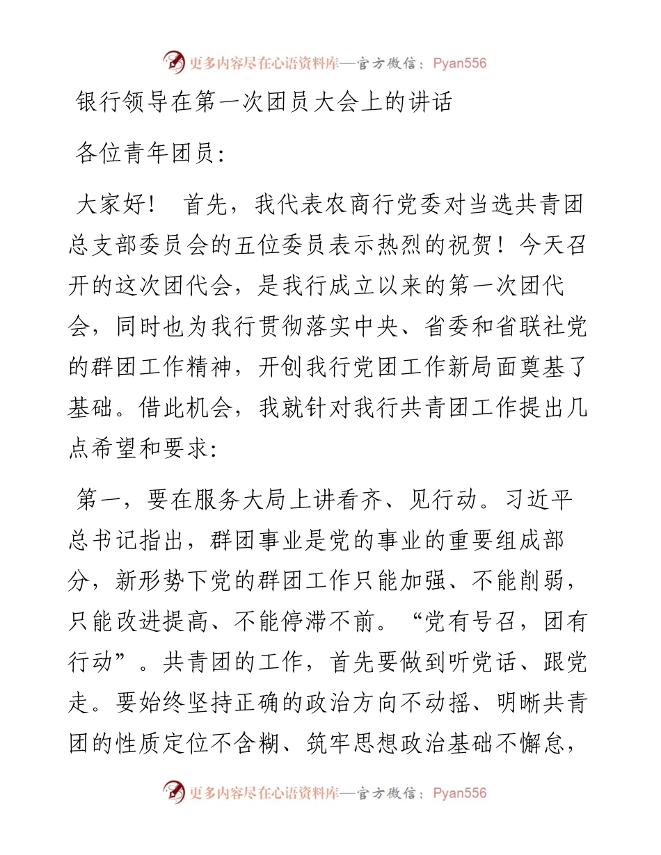 银行领导在第一次团员大会上的讲话.docx_第1页