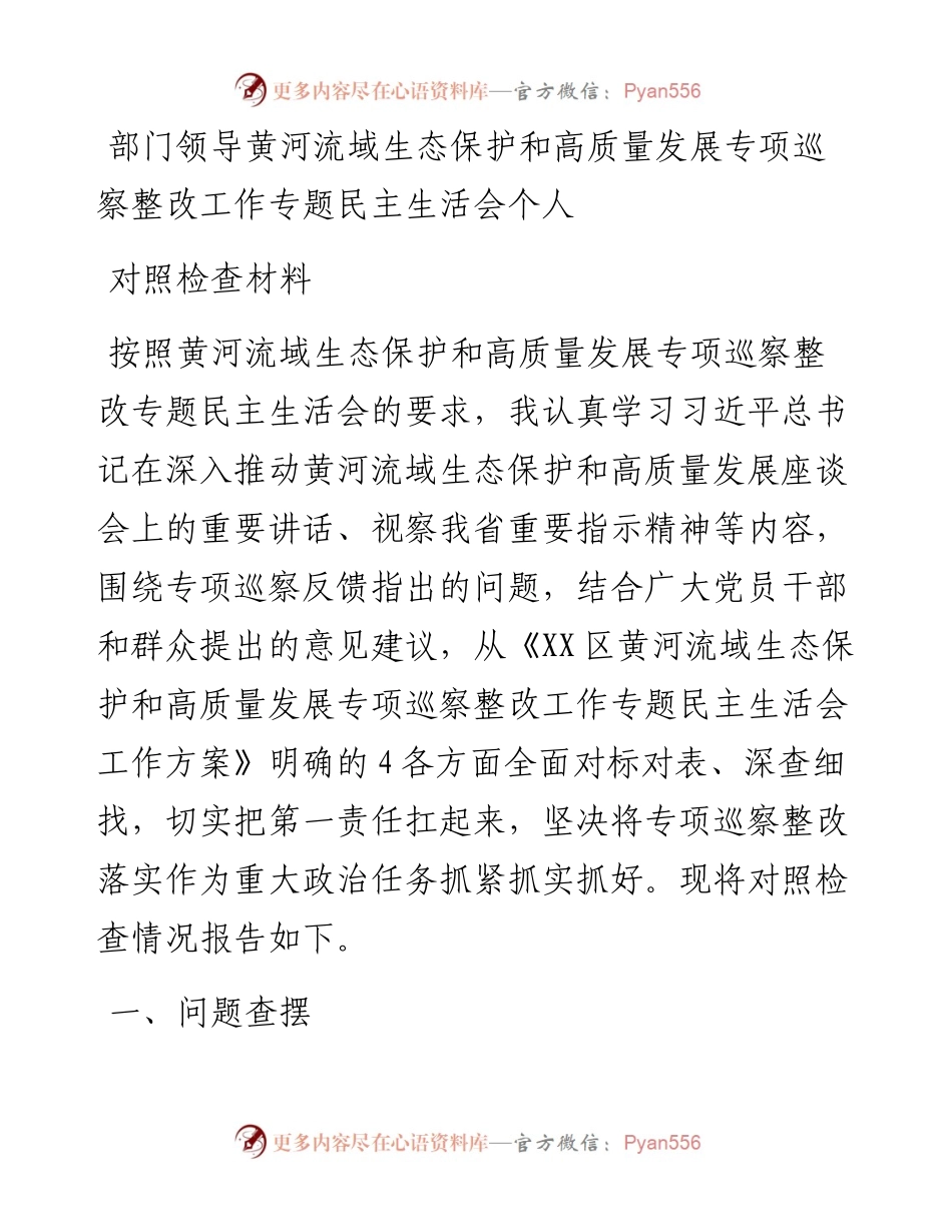 部门领导黄河流域生态保护和高质量发展专项巡察整改工作专题民主生活会个人对照检查材料.docx_第1页