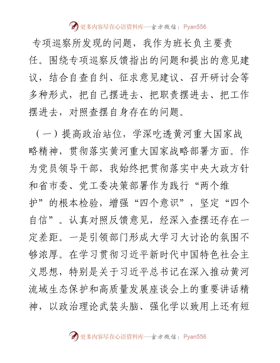 部门领导黄河流域生态保护和高质量发展专项巡察整改工作专题民主生活会个人对照检查材料.docx_第2页