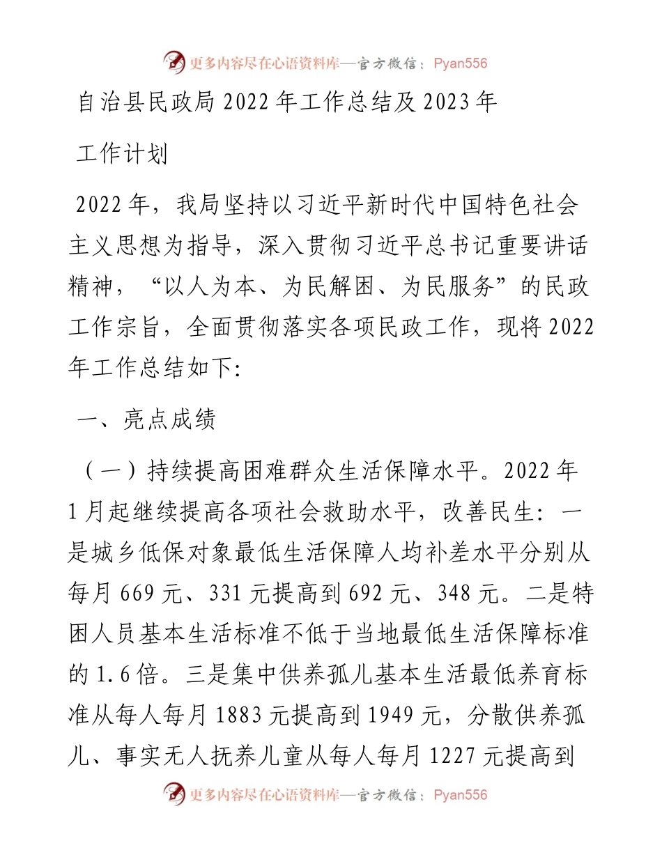 自治县民政局工作总结及2023年工作计划.docx_第1页