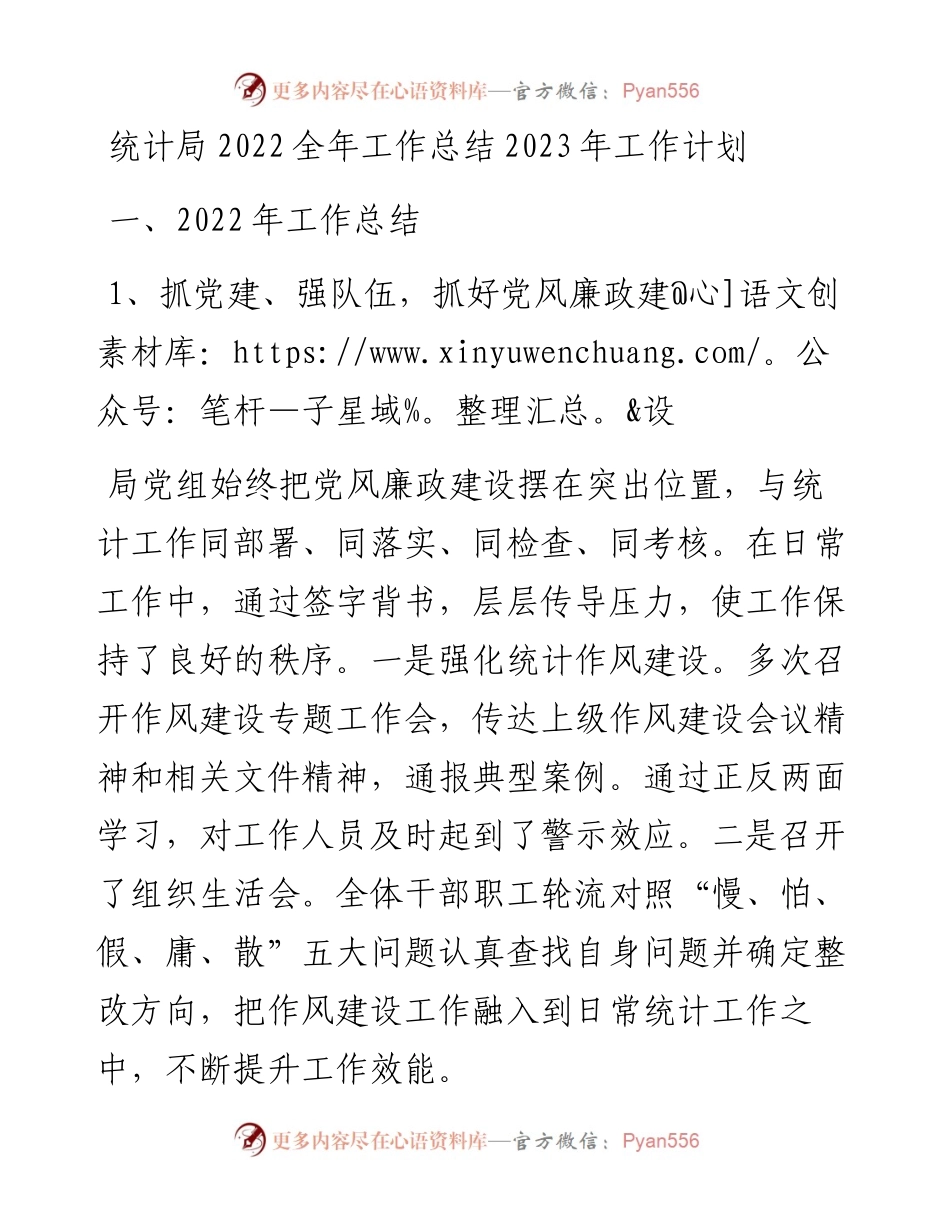 统计局全年工作总结2023年工作计划.docx_第1页